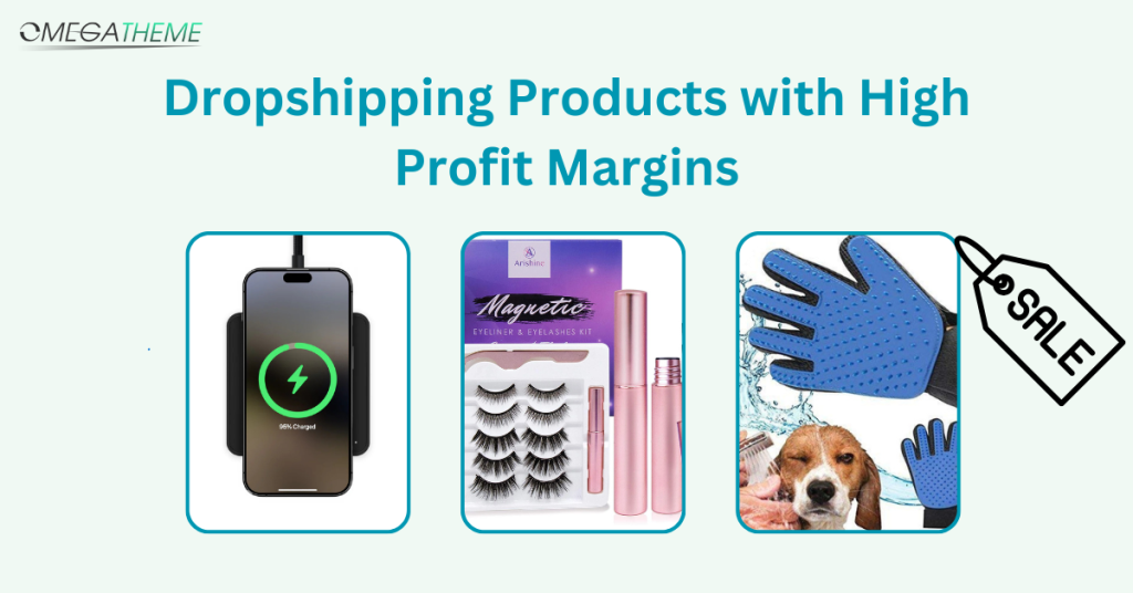 Dropshipping Products with High Profit Margins